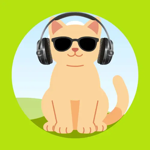 Cool cartoon cat wearing headphones and sunglasses, representing high-fidelity audio and music gear.