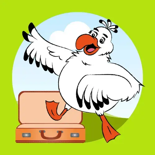 Cartoon seagull character standing on an orange suitcase, representing travel deals and expert trip planning.
