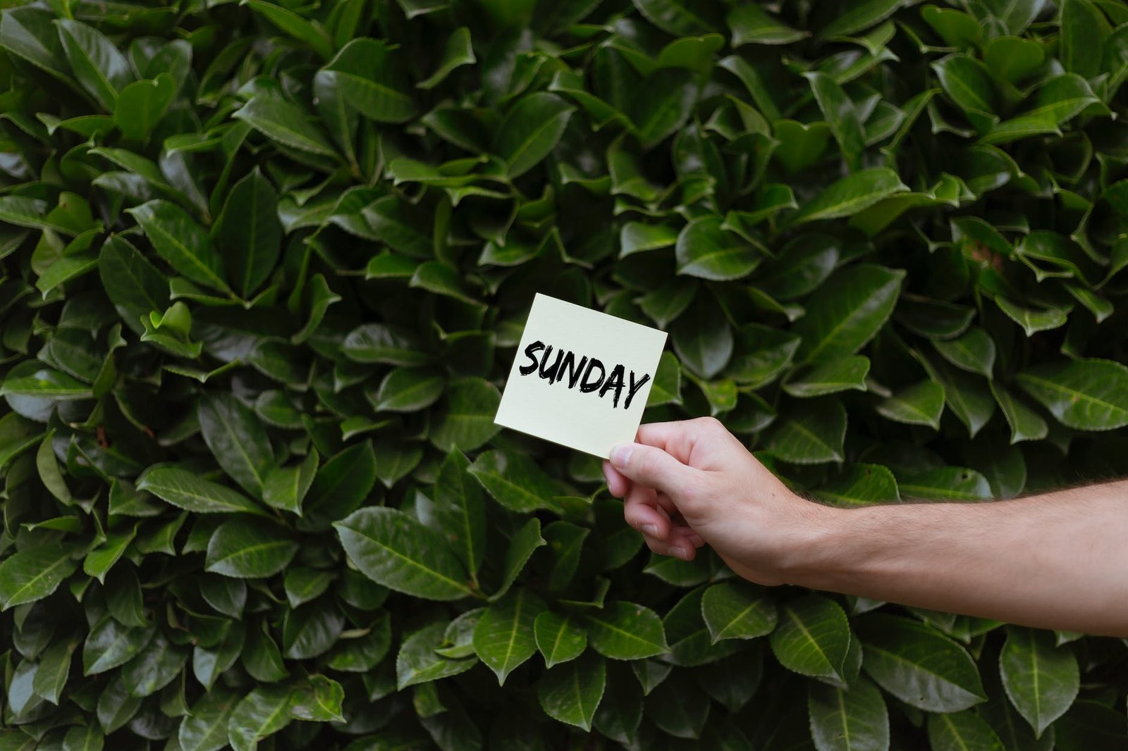 sunday printed on paper